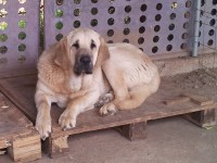 /album/fotogaleria-enma/enma-w2-2-jpg/